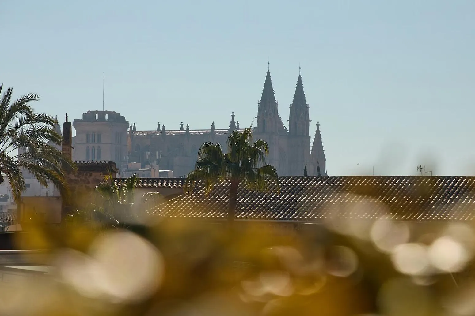 Sant Jaume Design Hotel Palma 5*,